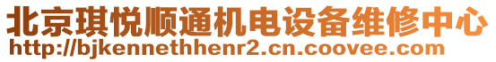 北京琪悅順通機電設(shè)備維修中心