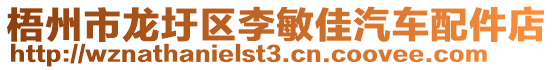 梧州市龍圩區(qū)李敏佳汽車配件店