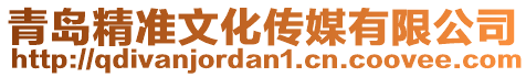 青岛精准文化传媒有限公司