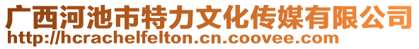 廣西河池市特力文化傳媒有限公司