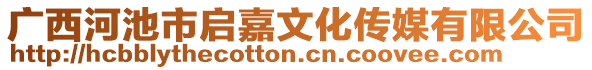 廣西河池市啟嘉文化傳媒有限公司