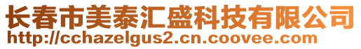 長春市美泰匯盛科技有限公司