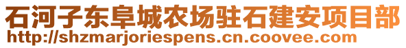 石河子?xùn)|阜城農(nóng)場(chǎng)駐石建安項(xiàng)目部