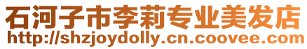 石河子市李莉專業美發店