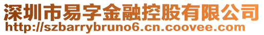 深圳市易字金融控股有限公司