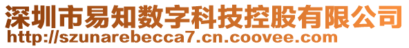 深圳市易知數(shù)字科技控股有限公司