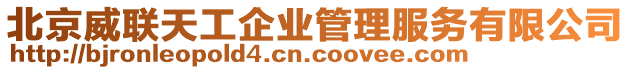 北京威聯天工企業管理服務有限公司