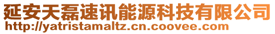 延安天磊速訊能源科技有限公司