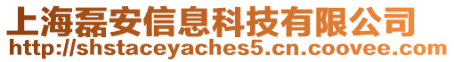 上海磊安信息科技有限公司