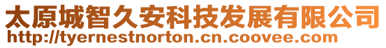 太原城智久安科技發(fā)展有限公司
