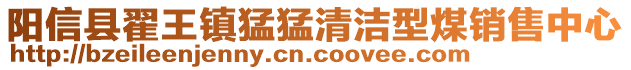 陽信縣翟王鎮(zhèn)猛猛清潔型煤銷售中心