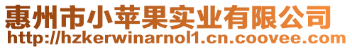 惠州市小蘋果實業(yè)有限公司