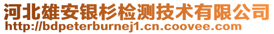 河北雄安銀杉檢測(cè)技術(shù)有限公司