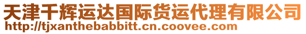 天津千輝運(yùn)達(dá)國際貨運(yùn)代理有限公司