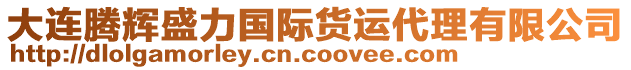 大連騰輝盛力國(guó)際貨運(yùn)代理有限公司