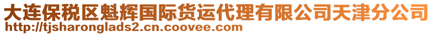 大連保稅區(qū)魁輝國際貨運代理有限公司天津分公司