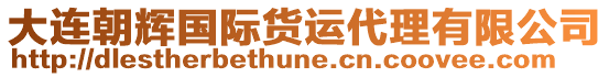 大連朝輝國際貨運(yùn)代理有限公司