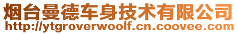 煙臺曼德車身技術(shù)有限公司