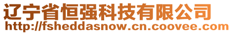 遼寧省恒強(qiáng)科技有限公司