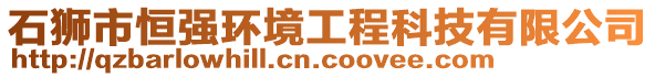 石獅市恒強(qiáng)環(huán)境工程科技有限公司