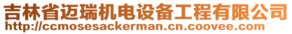 吉林省邁瑞機(jī)電設(shè)備工程有限公司