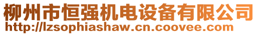 柳州市恒強機電設備有限公司