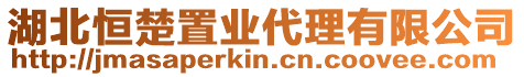 湖北恒楚置業代理有限公司