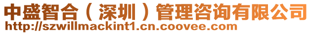 中盛智合(深圳)管理咨詢有限公司