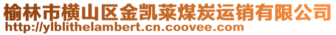 榆林市横山区金凯莱煤炭运销有限公司