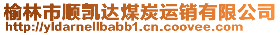 榆林市順凱達煤炭運銷有限公司