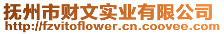 撫州市財文實業有限公司