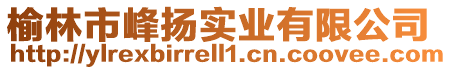 榆林市峰揚實業有限公司