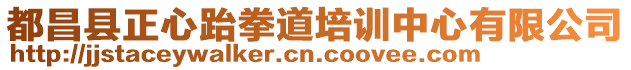 都昌縣正心跆拳道培訓中心有限公司
