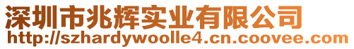 深圳市兆輝實業有限公司