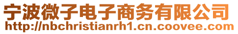 寧波微子電子商務有限公司