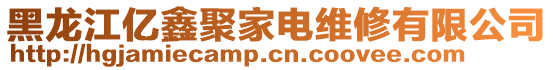 黑龍江億鑫聚家電維修有限公司