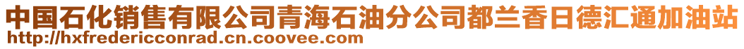 中國石化銷售有限公司青海石油分公司都蘭香日德匯通加油站