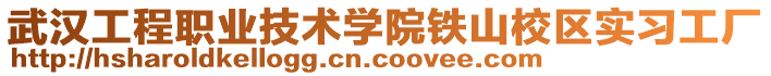 武漢工程職業(yè)技術(shù)學(xué)院鐵山校區(qū)實習(xí)工廠