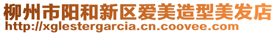 柳州市陽和新區愛美造型美發店