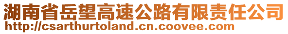 湖南省岳望高速公路有限責任公司