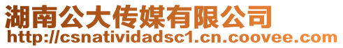 湖南公大傳媒有限公司