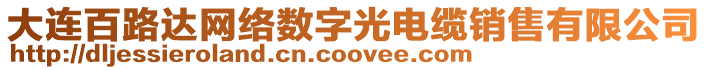 大連百路達網(wǎng)絡(luò)數(shù)字光電纜銷售有限公司