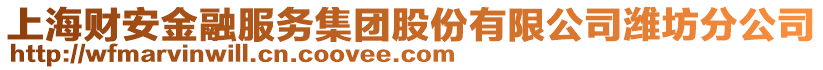 上海財安金融服務(wù)集團股份有限公司濰坊分公司