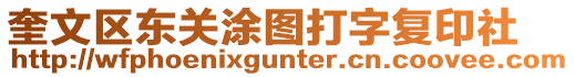 奎文區(qū)東關(guān)涂圖打字復(fù)印社