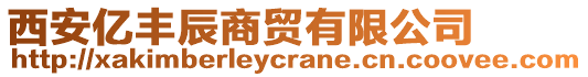 西安億豐辰商貿有限公司