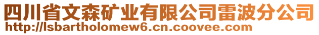 四川省文森礦業(yè)有限公司雷波分公司