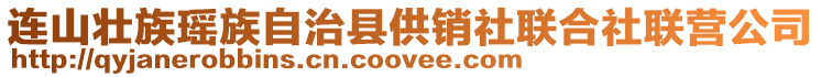 连山壮族瑶族自治县供销社联合社联营公司