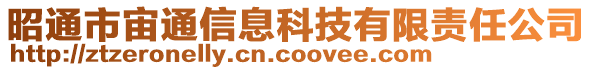 昭通市宙通信息科技有限責任公司