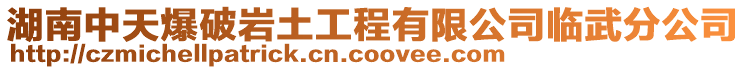 湖南中天爆破巖土工程有限公司臨武分公司