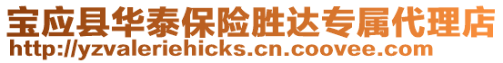 寶應縣華泰保險勝達專屬代理店